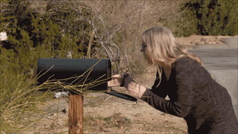 Subscription confirmation success animation